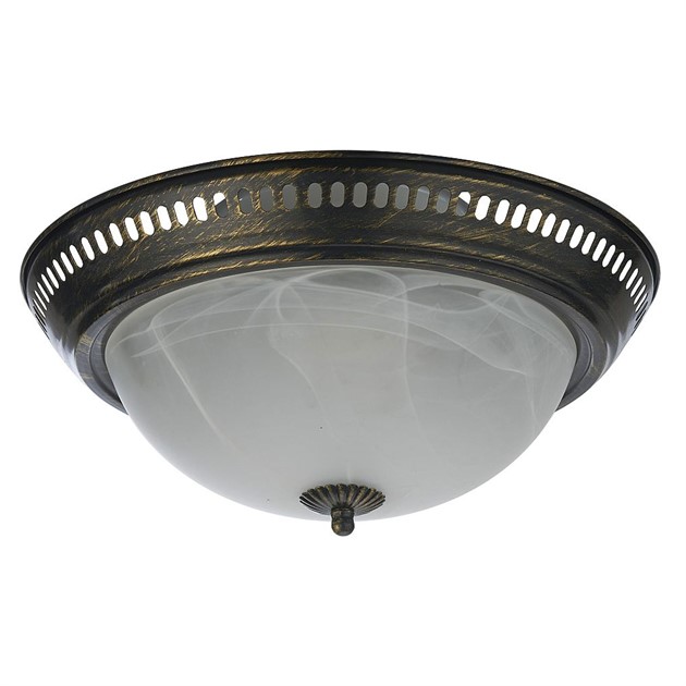 Ceiling fixture light