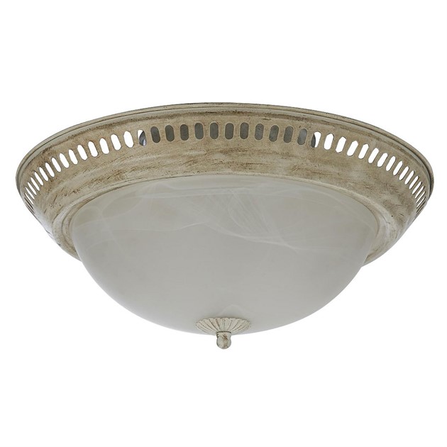 Ceiling fixture light
